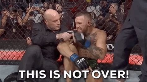 Conor McGregor GIFs on GIPHY